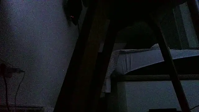 Sheny_y webcam