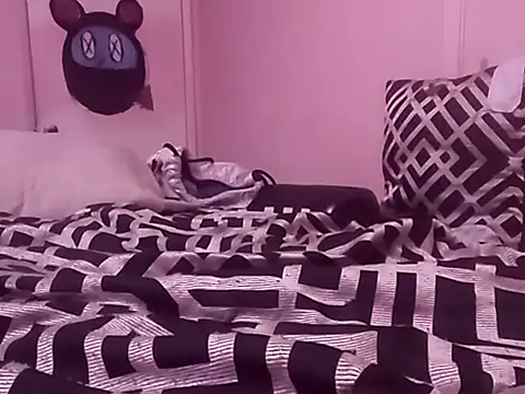 Blkstylion webcam