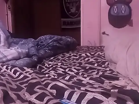 Blkstylion webcam
