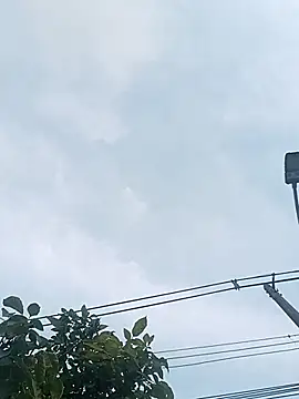 Arrombador20 webcam