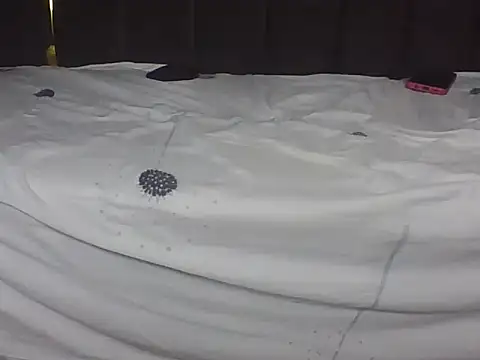 cutiebreey webcam