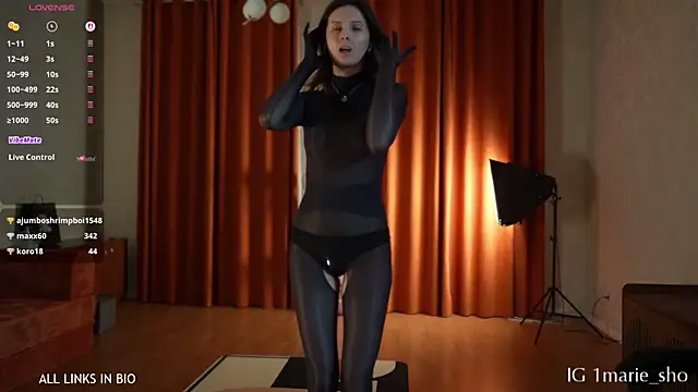 LAUREL_HAZEL webcam