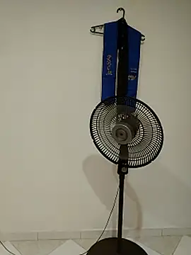 keilymadam webcam