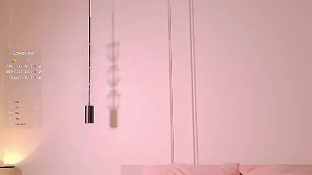 Rinas_secret webcam