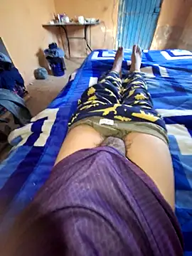 pollin_10 webcam