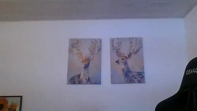 Gotta1 webcam