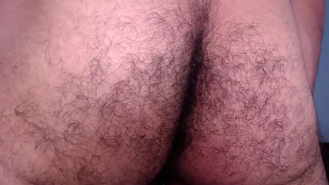 Bull_Xvi webcam