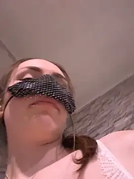 SilentShard webcam