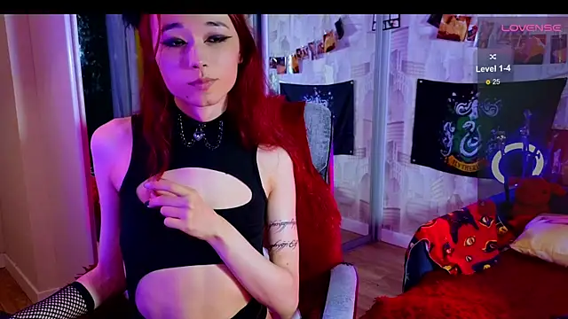 vetansenda webcam