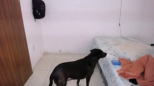 yselahot webcam