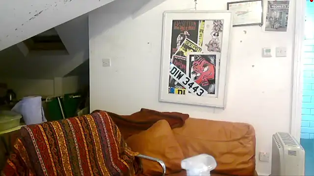 mista_sista_fista webcam