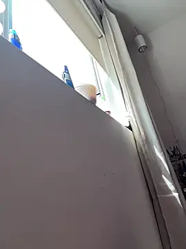 alldogsgotoheaven webcam