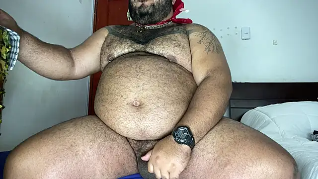 Bearspigdirty webcam