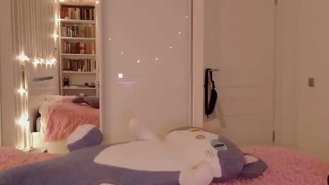 Awwwrora webcam