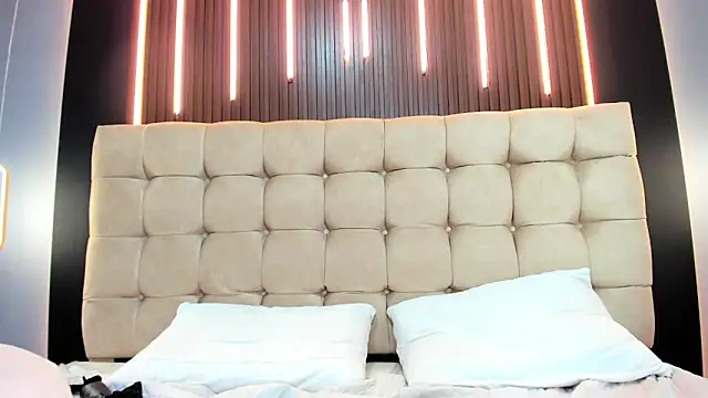 Katha03_ webcam