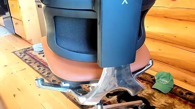wobbleon webcam
