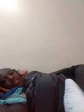 Sansa_s webcam