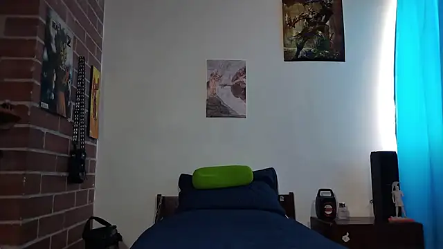 PaulDamico webcam