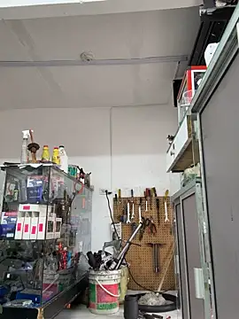 Paul22cm- live sex cam