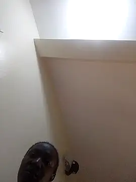 Sansa_s webcam