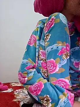 altinya webcam