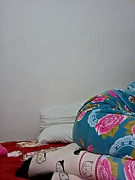 altinya webcam