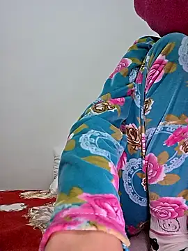 altinya webcam