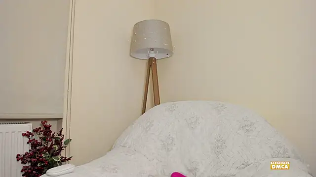 snowiie webcam