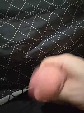 Stefanparis