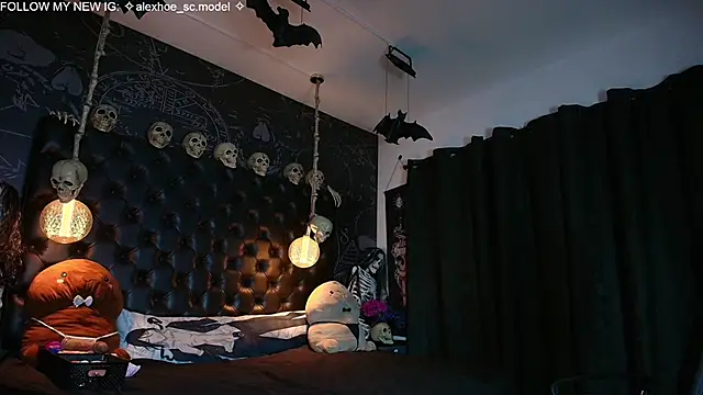 AlexHoe_ webcam