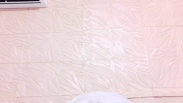 nina_bae webcam