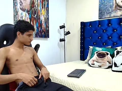 Xavier-Fox webcam
