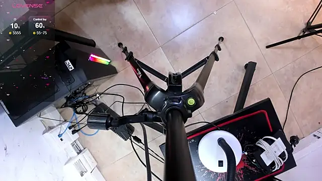 rox_luxury_tf webcam