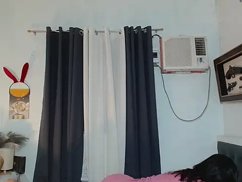 Sileves webcam