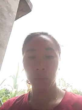 Jinli_01