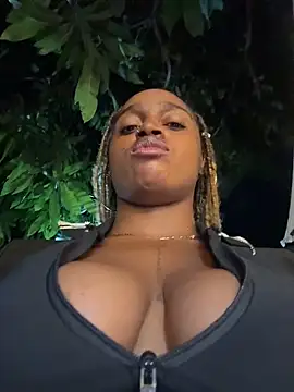 darle_volant webcam