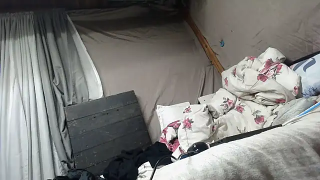 Camodick webcam