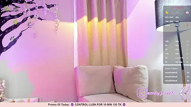 _EmilyJireh_ webcam