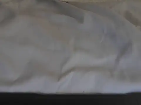 bebrainsmart1 webcam
