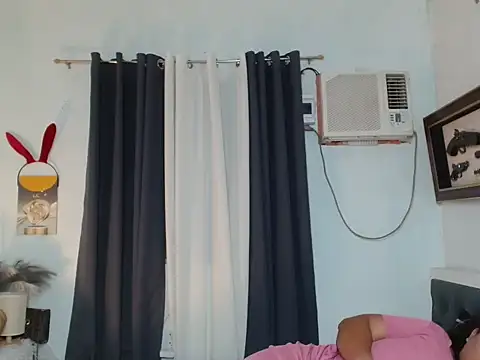 Sileves webcam