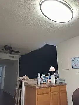 BaileyMFox webcam