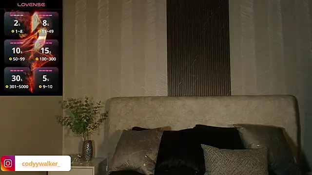 CodyWalkerR webcam
