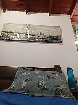 SaloGray8 webcam