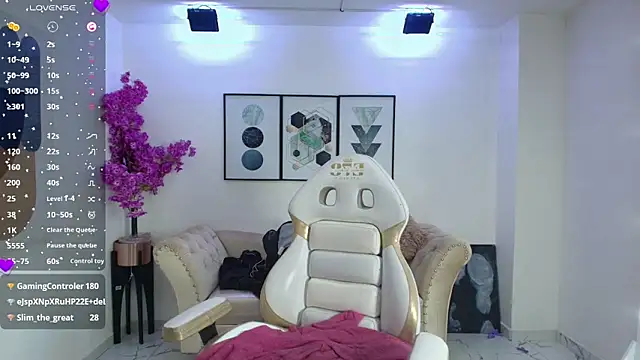 Isa_reel webcam