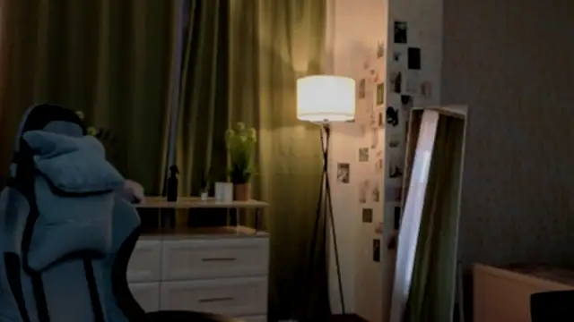 Vexorine webcam
