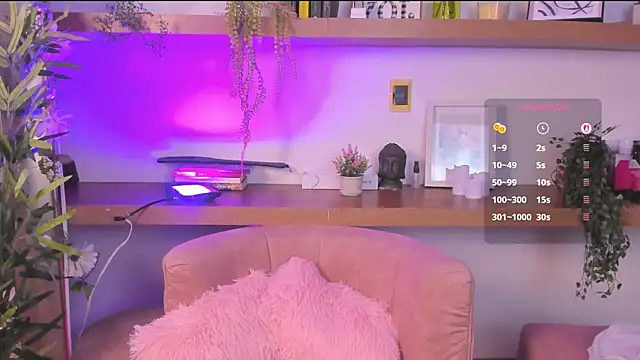 _Lorraine_v webcam