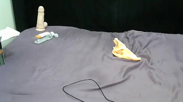 SlayNova webcam