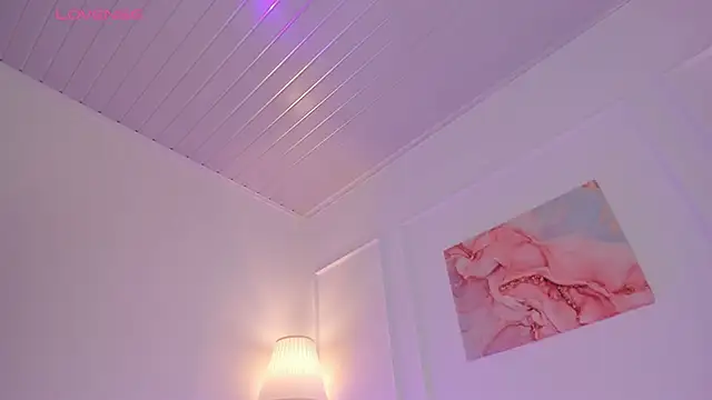 nova_silk webcam