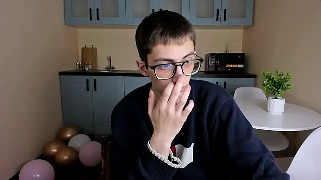 RonBevs webcam