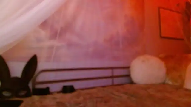 vegavyxen webcam